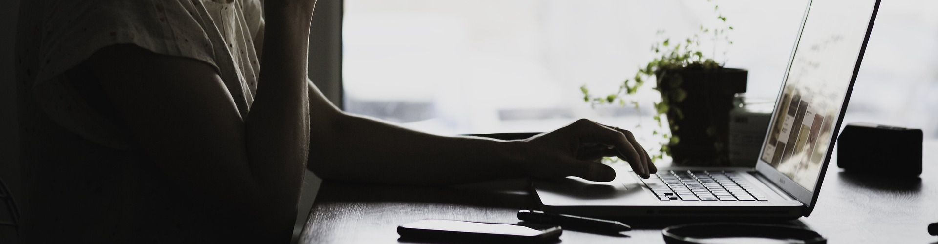 A message to visitors from the Scientific Director